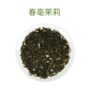 春毫茉莉綠茶奶綠，水果茶專用茶葉