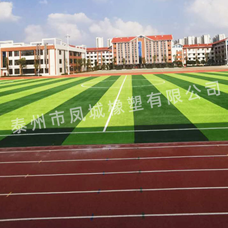 廠家供應塑膠跑道耐紫外線吸震力好幼兒園籃球場田徑室外跑道原始圖片3