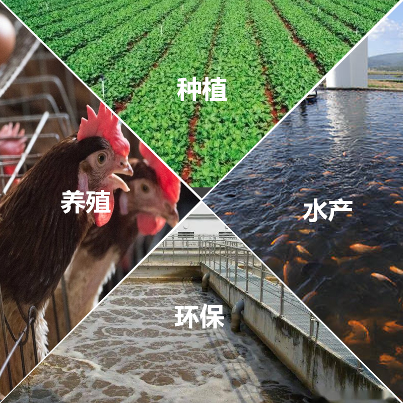 EM菌液水产养殖种植专用益生菌农用禽用兽用发酵剂原液原露 