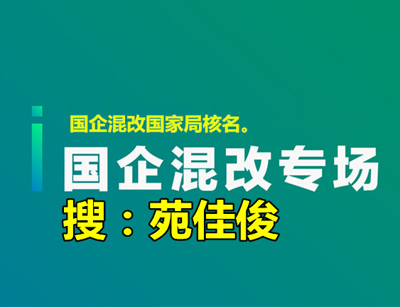 國(guó)企央企混改掛靠操作流程收費(fèi)標(biāo)準(zhǔn)