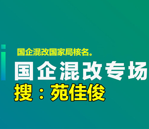 國(guó)企央企混改方式操作流程和具體要求有哪些