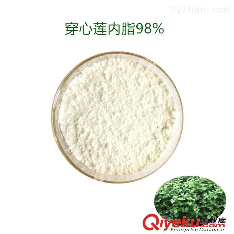 穿心蓮內(nèi)酯 10%-98%穿心蓮素 現(xiàn)貨 廠家直銷 品質(zhì)保障