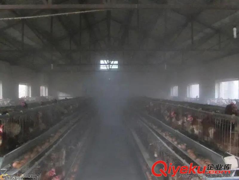 供應(yīng)雞場(chǎng)圈舍降溫加濕設(shè)備原始圖片3