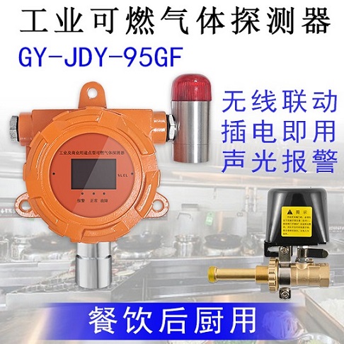 嘉德云GY-JDY-95GF可燃?xì)怏w探測器原始圖片3