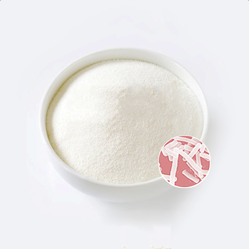供應植物乳桿菌100億活菌益生菌固體飲料原料青島諾森生物