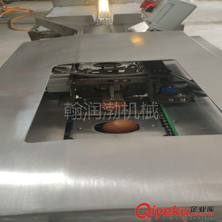 翰潤渤HRB-200型蛋清蛋黃分離機(jī) 全自動磕蛋機(jī) 蛋黃粉加工設(shè)備