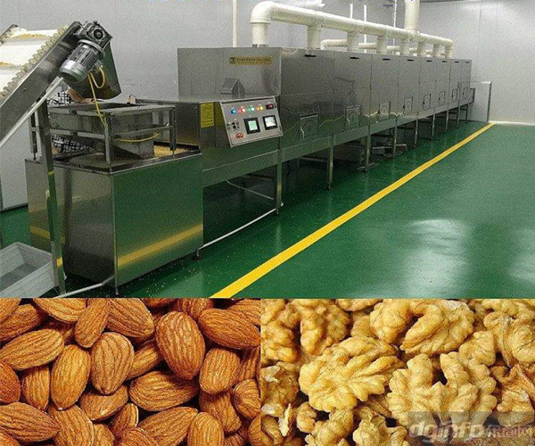 規范型號核桃仁微波烘烤機 干果微波滅v菌殺蟲設備