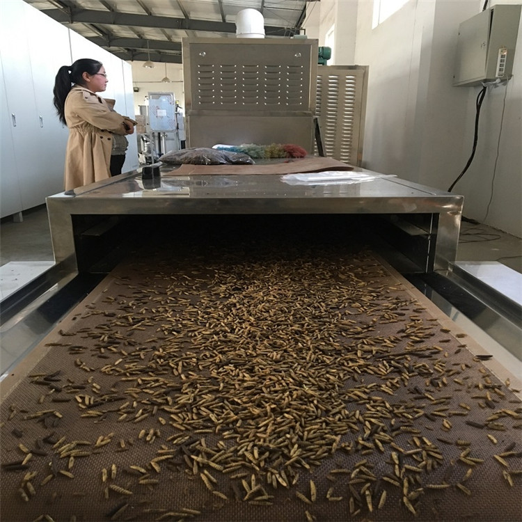 柜式黃粉蟲微波烤箱價格 現(xiàn)貨供應(yīng)蟲子微波烘干機