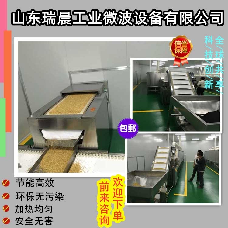 連續式五谷雜糧微波烘焙熟化設備流水線原始圖片2
