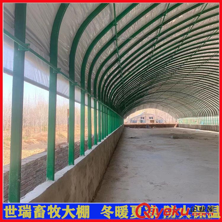 供應(yīng)養(yǎng)羊大棚材料 羊舍大棚建設(shè) 養(yǎng)羊場羊舍大棚搭建