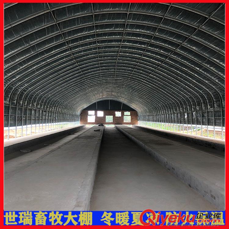 供應(yīng)養(yǎng)羊大棚材料 羊舍大棚建設(shè) 養(yǎng)羊場羊舍大棚搭建