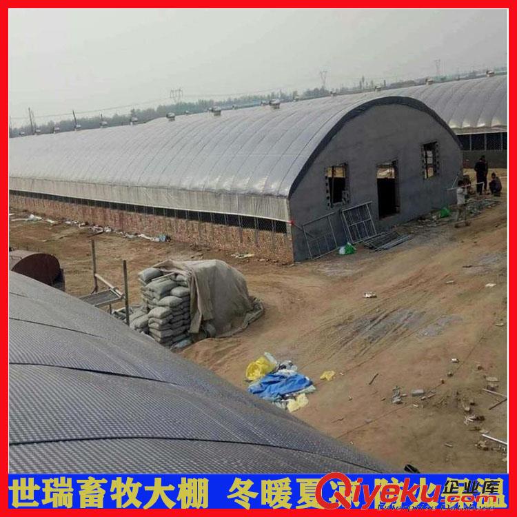 供應(yīng)養(yǎng)羊大棚材料 羊舍大棚建設(shè) 養(yǎng)羊場羊舍大棚搭建