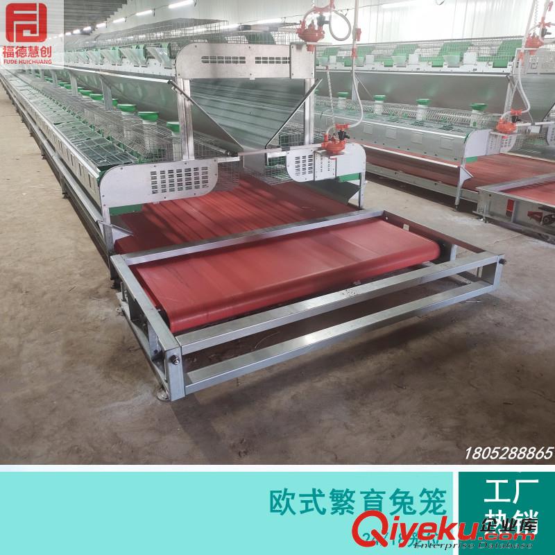 兔子養(yǎng)殖設(shè)備歐式兔籠 雙層熱鍍鋅絲兔籠工廠批發(fā)