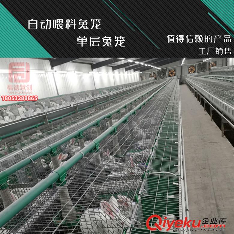 自動喂料歐式兔籠繁育一體子母籠 單層12籠位兔籠
